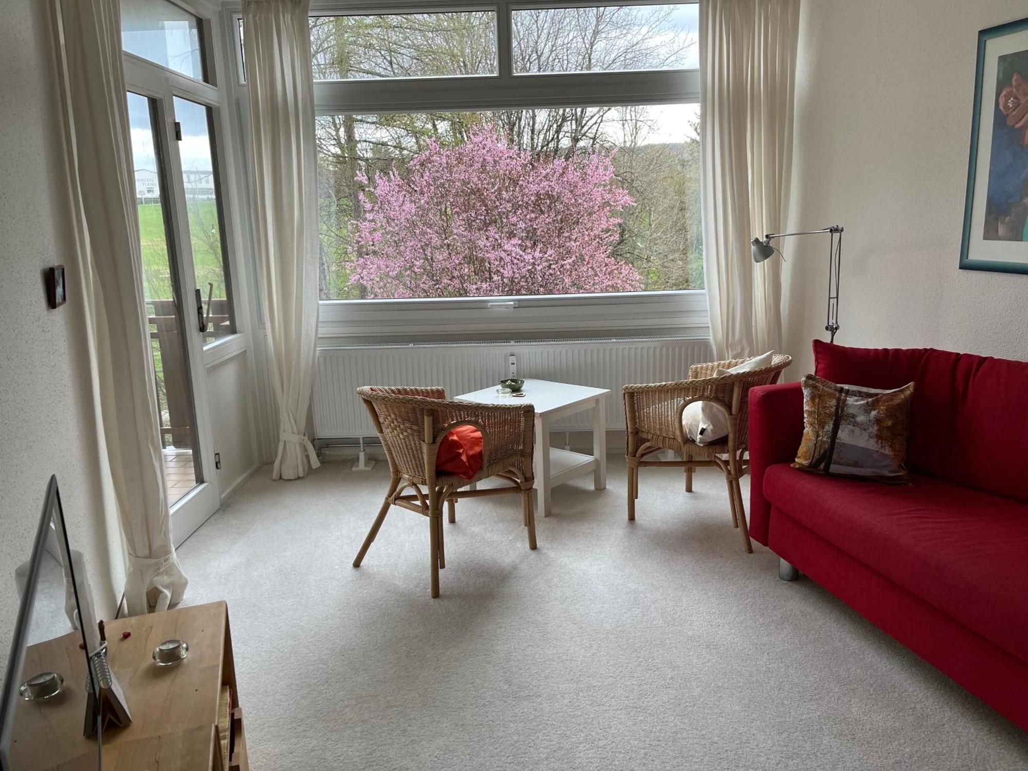 Koenigs Appartement Mit Pool Schluchsee Extérieur photo