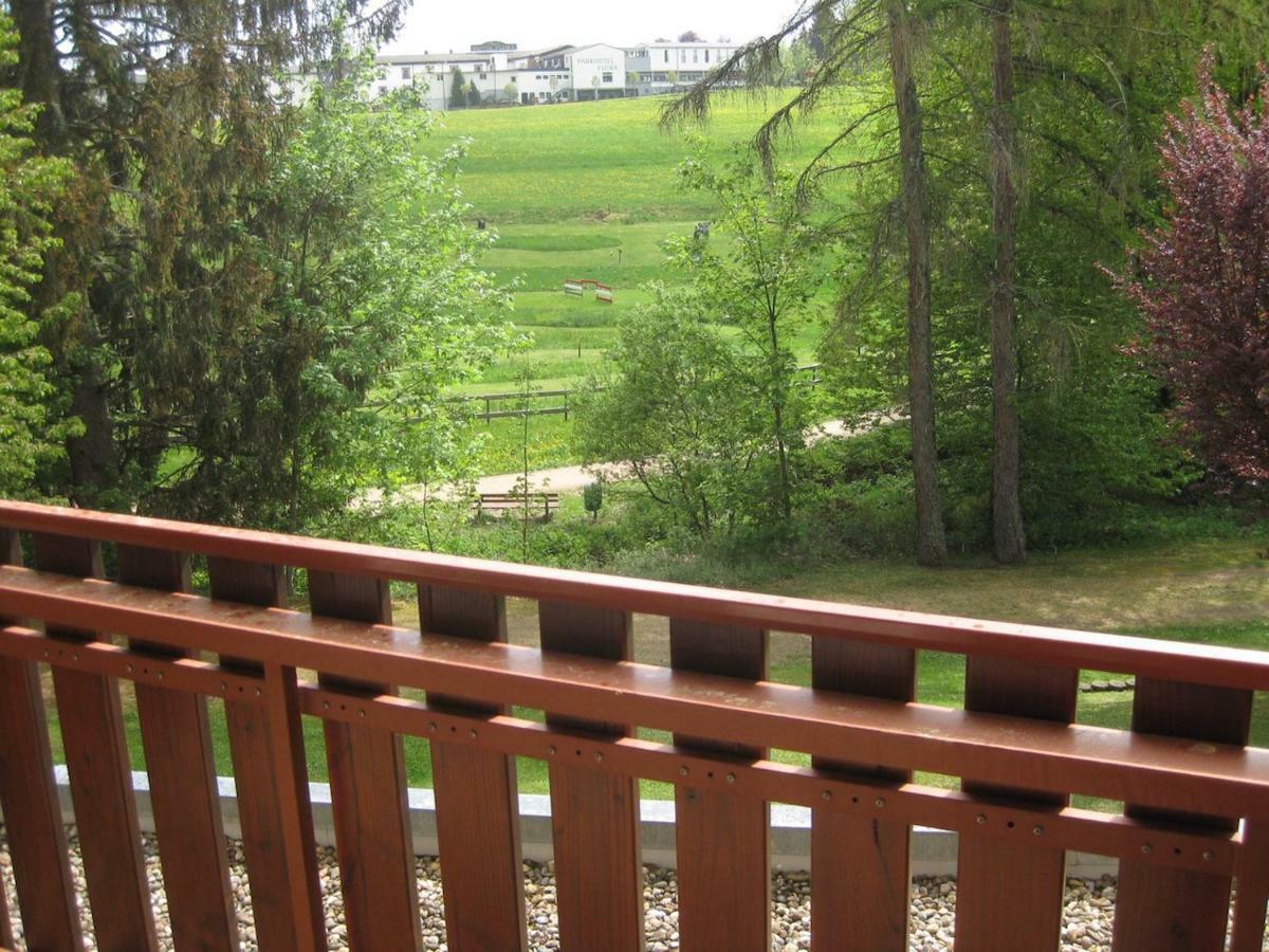 Koenigs Appartement Mit Pool Schluchsee Extérieur photo