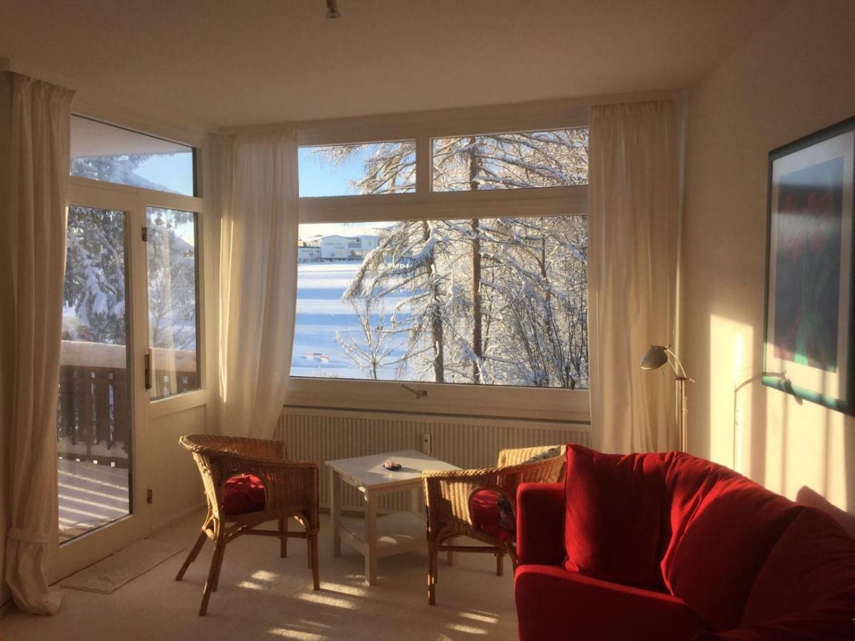 Koenigs Appartement Mit Pool Schluchsee Extérieur photo
